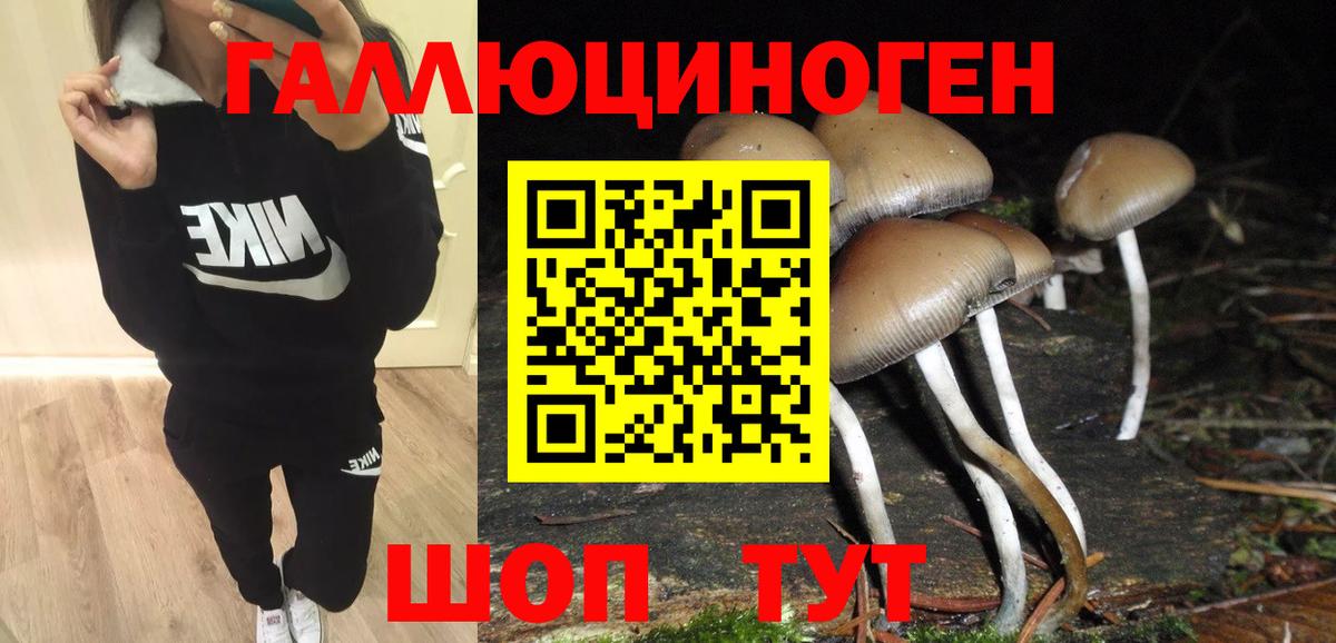 Галлюциногенные грибы GOLDEN TEACHER  где купить наркоту  Бийск  Вход с VPN 